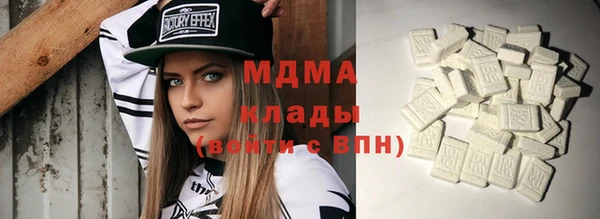 индика Алексин