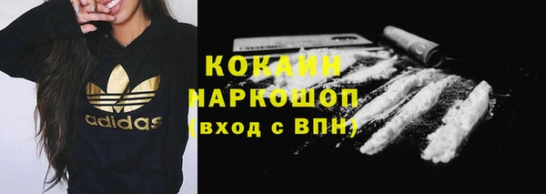 индика Алексин