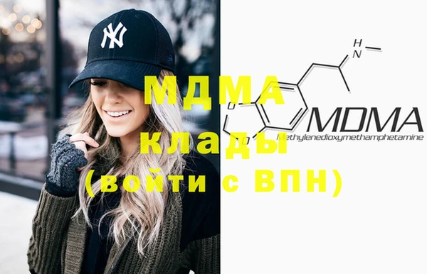 индика Алексин