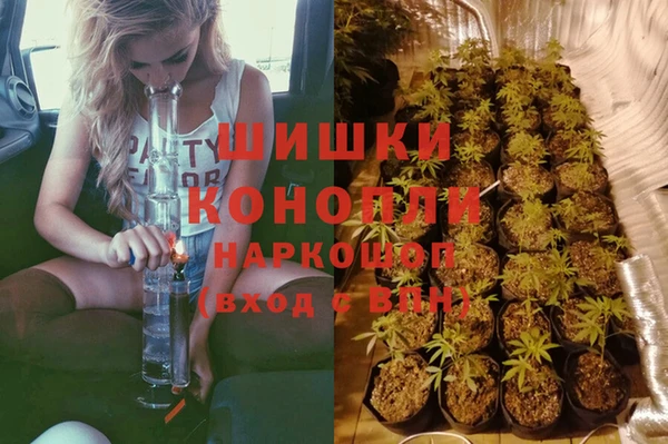 индика Алексин